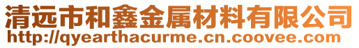 清遠市和鑫金屬材料有限公司