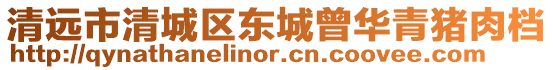 清遠市清城區東城曾華青豬肉檔