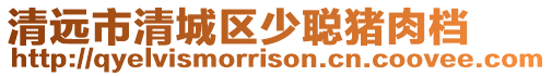 清遠(yuǎn)市清城區(qū)少聰豬肉檔