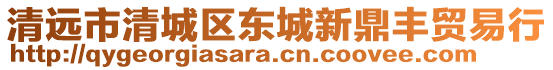清遠市清城區東城新鼎豐貿易行