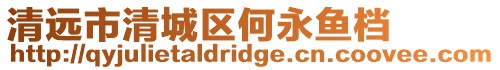 清遠市清城區何永魚檔