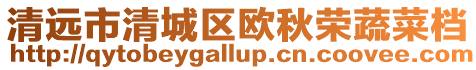 清遠市清城區(qū)歐秋榮蔬菜檔