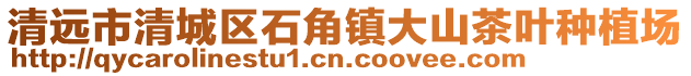 清遠(yuǎn)市清城區(qū)石角鎮(zhèn)大山茶葉種植場