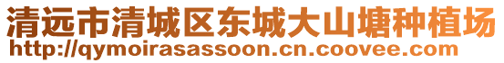 清遠市清城區東城大山塘種植場