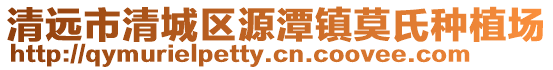 清遠市清城區(qū)源潭鎮(zhèn)莫氏種植場