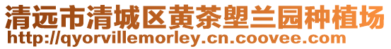 清遠市清城區黃茶塱蘭園種植場