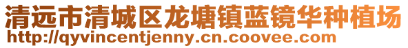 清遠市清城區龍塘鎮藍鏡華種植場