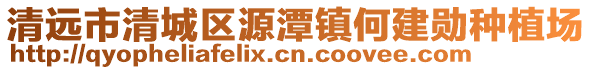 清遠(yuǎn)市清城區(qū)源潭鎮(zhèn)何建勛種植場(chǎng)
