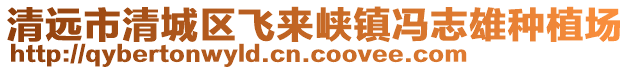 清遠市清城區飛來峽鎮馮志雄種植場