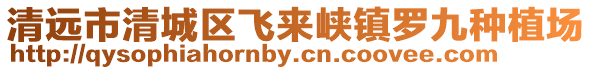 清遠市清城區飛來峽鎮羅九種植場