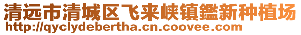 清遠市清城區飛來峽鎮鑑新種植場