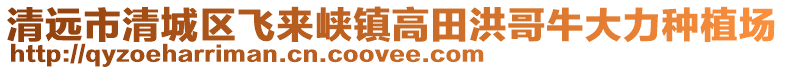 清遠市清城區(qū)飛來峽鎮(zhèn)高田洪哥牛大力種植場