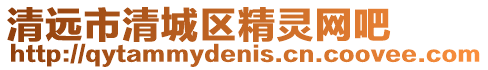 清遠市清城區精靈網吧