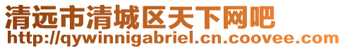清遠市清城區天下網吧