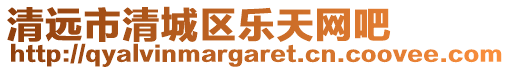 清遠市清城區(qū)樂天網吧
