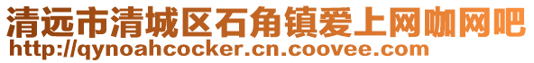 清遠市清城區石角鎮愛上網咖網吧