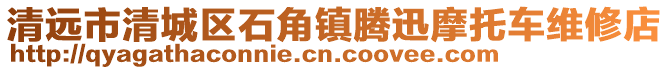 清遠市清城區石角鎮騰迅摩托車維修店