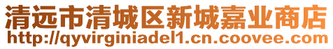 清遠市清城區新城嘉業商店