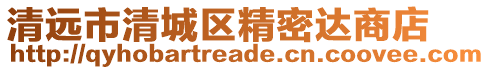 清遠(yuǎn)市清城區(qū)精密達商店
