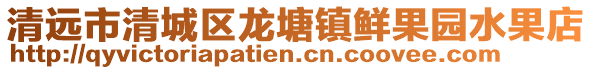 清遠市清城區龍塘鎮鮮果園水果店