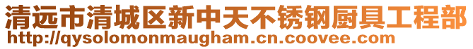 清遠市清城區新中天不銹鋼廚具工程部