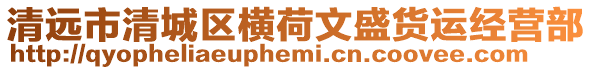 清遠市清城區橫荷文盛貨運經營部