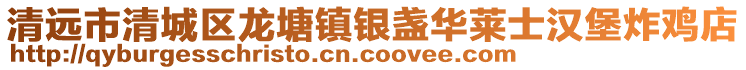 清遠市清城區龍塘鎮銀盞華萊士漢堡炸雞店