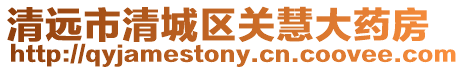 清遠市清城區關慧大藥房