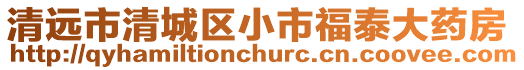 清遠市清城區小市福泰大藥房