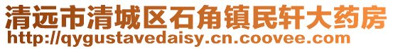 清遠(yuǎn)市清城區(qū)石角鎮(zhèn)民軒大藥房