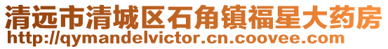 清遠市清城區石角鎮福星大藥房