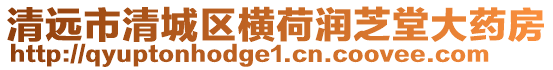 清遠市清城區橫荷潤芝堂大藥房