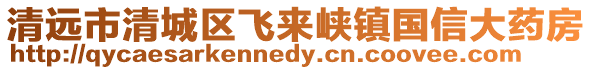 清遠市清城區飛來峽鎮國信大藥房