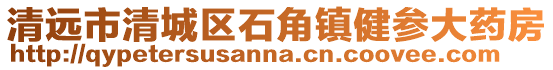 清遠(yuǎn)市清城區(qū)石角鎮(zhèn)健參大藥房