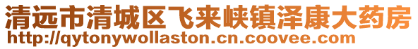 清遠(yuǎn)市清城區(qū)飛來峽鎮(zhèn)澤康大藥房
