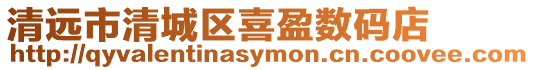 清遠市清城區(qū)喜盈數(shù)碼店