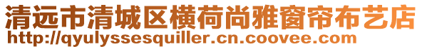 清遠市清城區橫荷尚雅窗簾布藝店