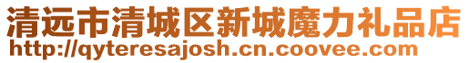 清遠市清城區(qū)新城魔力禮品店