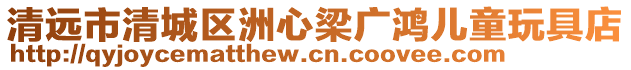 清遠市清城區洲心梁廣鴻兒童玩具店