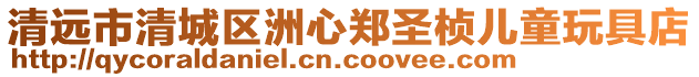 清遠市清城區洲心鄭圣楨兒童玩具店