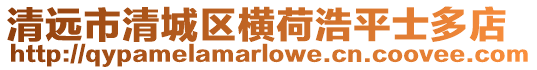 清遠市清城區橫荷浩平士多店