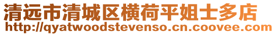 清遠市清城區橫荷平姐士多店