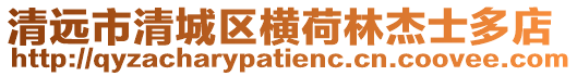 清遠市清城區橫荷林杰士多店