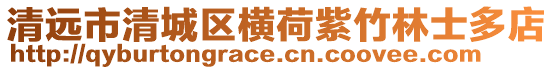 清遠市清城區橫荷紫竹林士多店