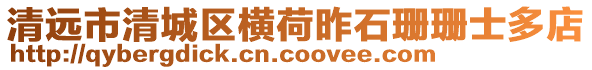 清遠市清城區橫荷昨石珊珊士多店