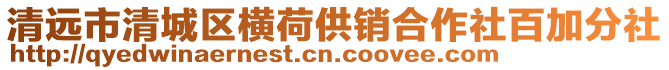 清遠市清城區橫荷供銷合作社百加分社