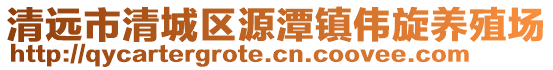 清遠(yuǎn)市清城區(qū)源潭鎮(zhèn)偉旋養(yǎng)殖場(chǎng)