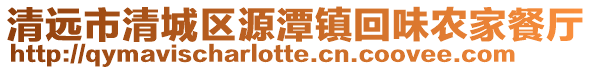 清遠市清城區源潭鎮回味農家餐廳