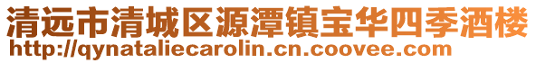 清遠市清城區源潭鎮寶華四季酒樓