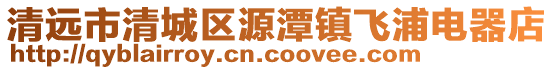 清遠(yuǎn)市清城區(qū)源潭鎮(zhèn)飛浦電器店